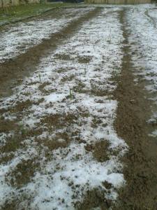 11050969_450758738410991_2049635368_n