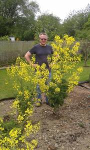 11655657_503632793123585_413442256_o