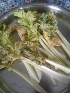 12894572_610431582443705_1352590457_o