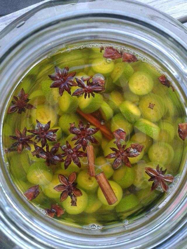 11181554_504747379678793_1376908161_o