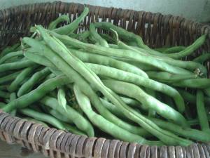 12235670_559117060908491_1948554596_o