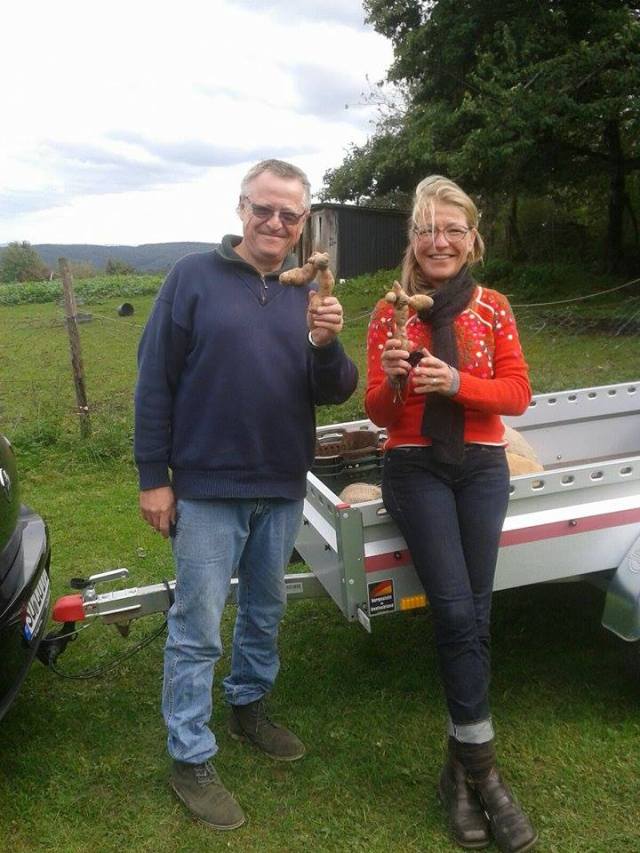 12212495_559116834241847_2082979270_n